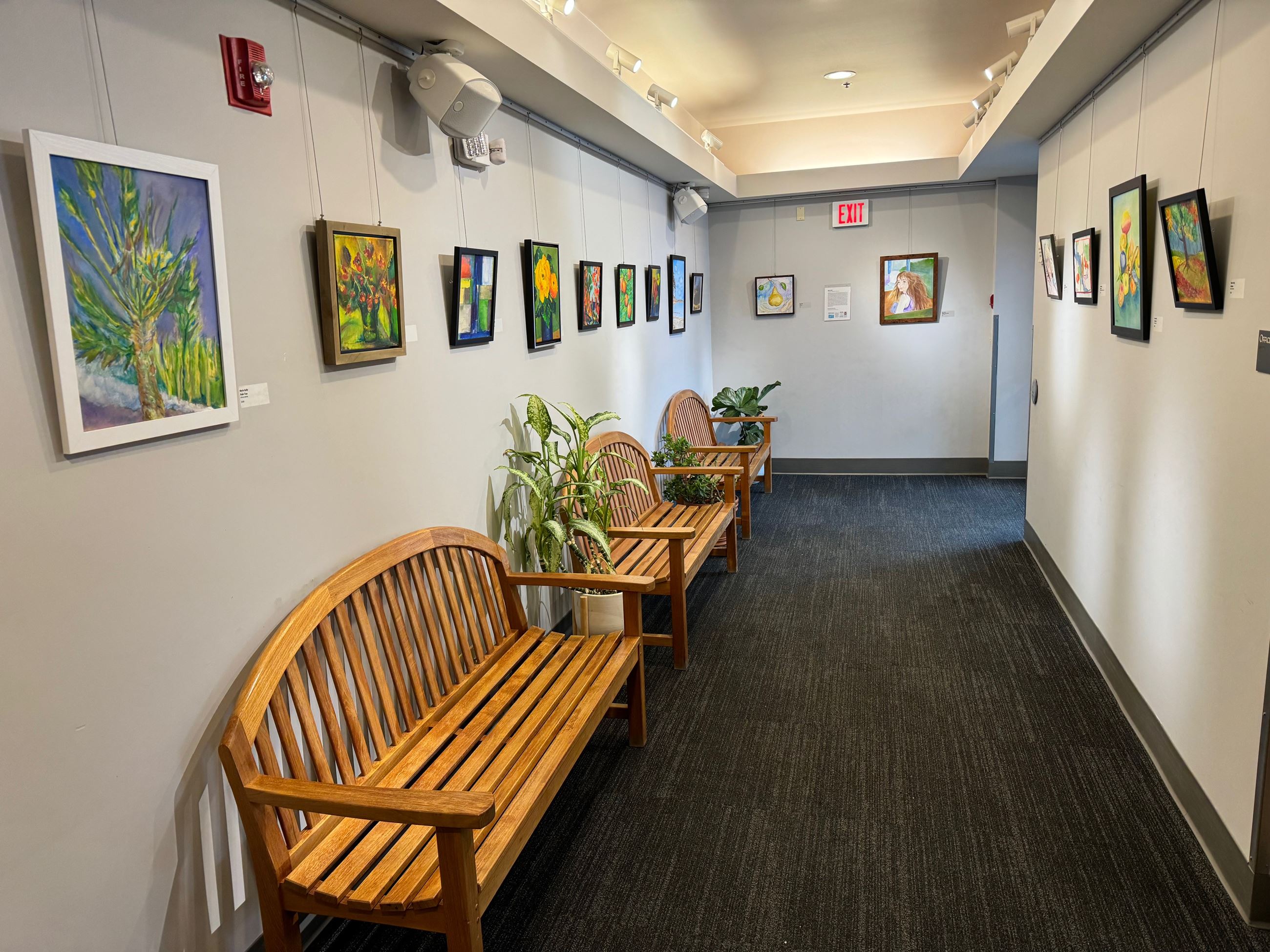 Ac ollection of colorful paintings on display at the Hopkins Activty Center entry gallery